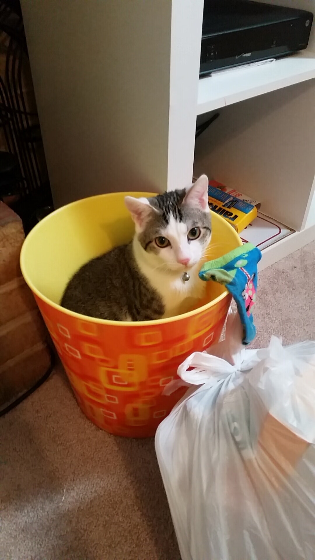 跨时空对决，浙江队时空裂缝中击溃凯尔特人，杜兰特成为关键先生